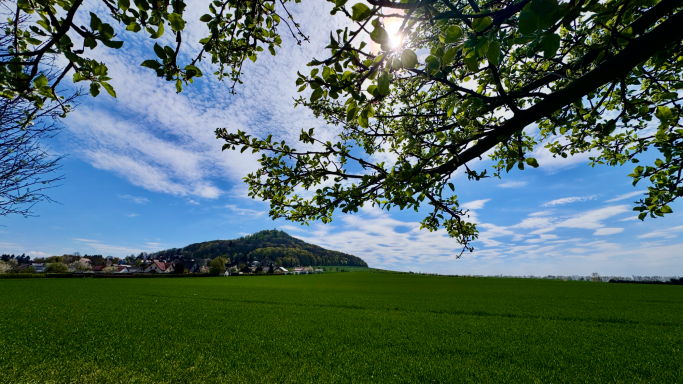 Die Landeskrone